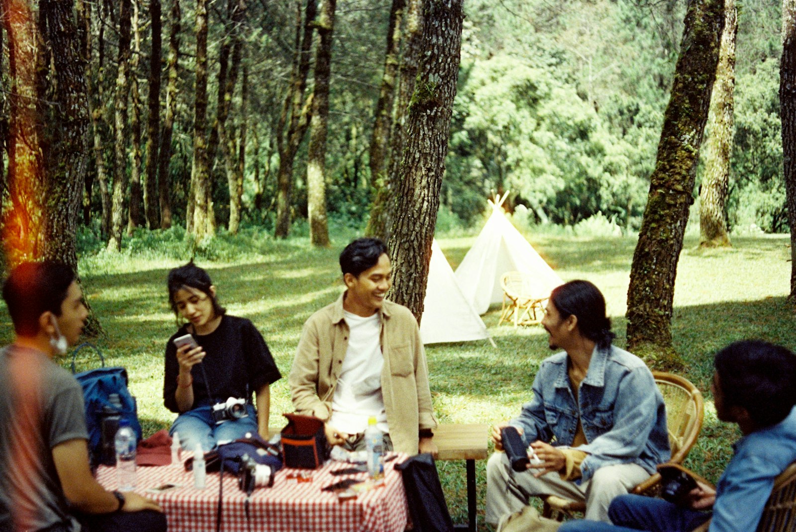 A group of friends sitting on the grass around a spread of food under trees, mid-conversation.