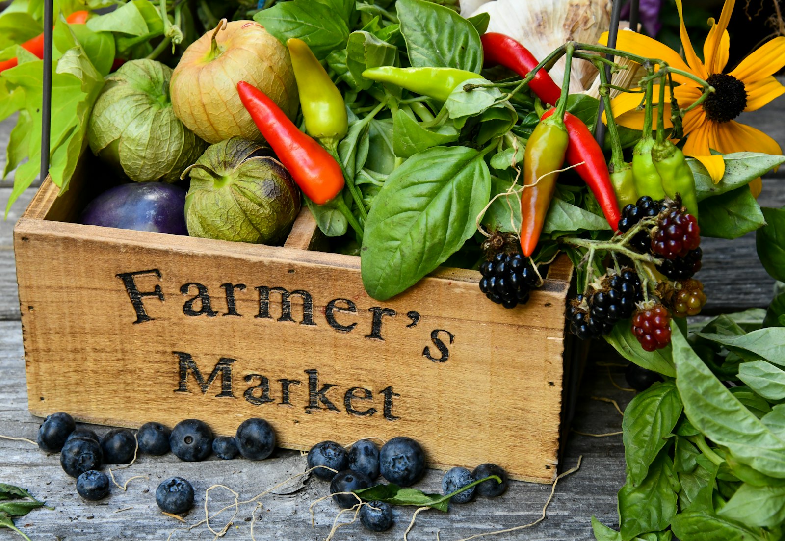 A market crate of tomatillos, chillies and herbs