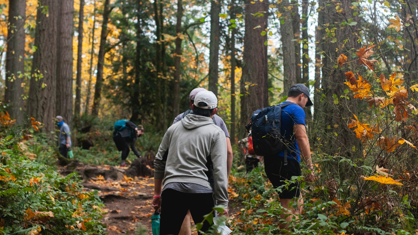 Hikers with backpacks following a wooded trail among autumn leaves.