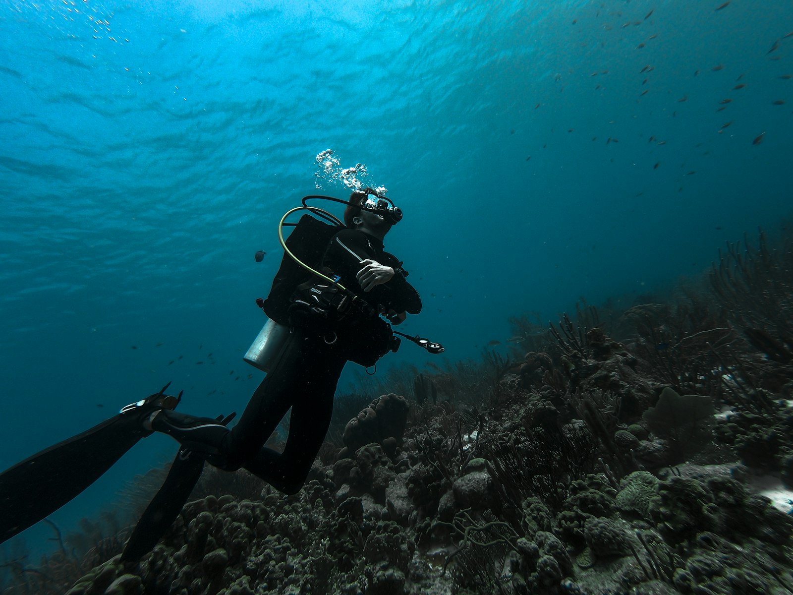 A scuba diver swimming over a reef surrounded by fish