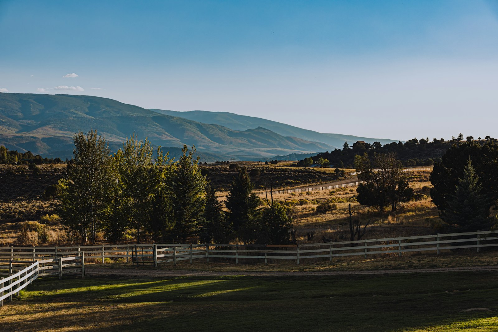 Open ranch country — fenced green pasture running back toward distant mountains.