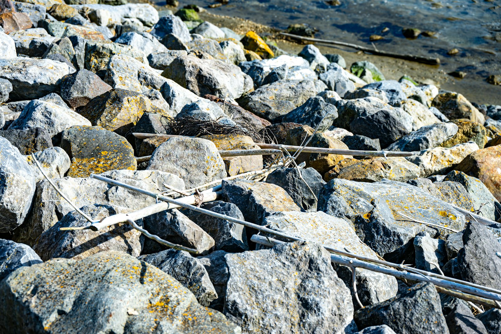 Fishing rods set on a rocky shoreline above the water
