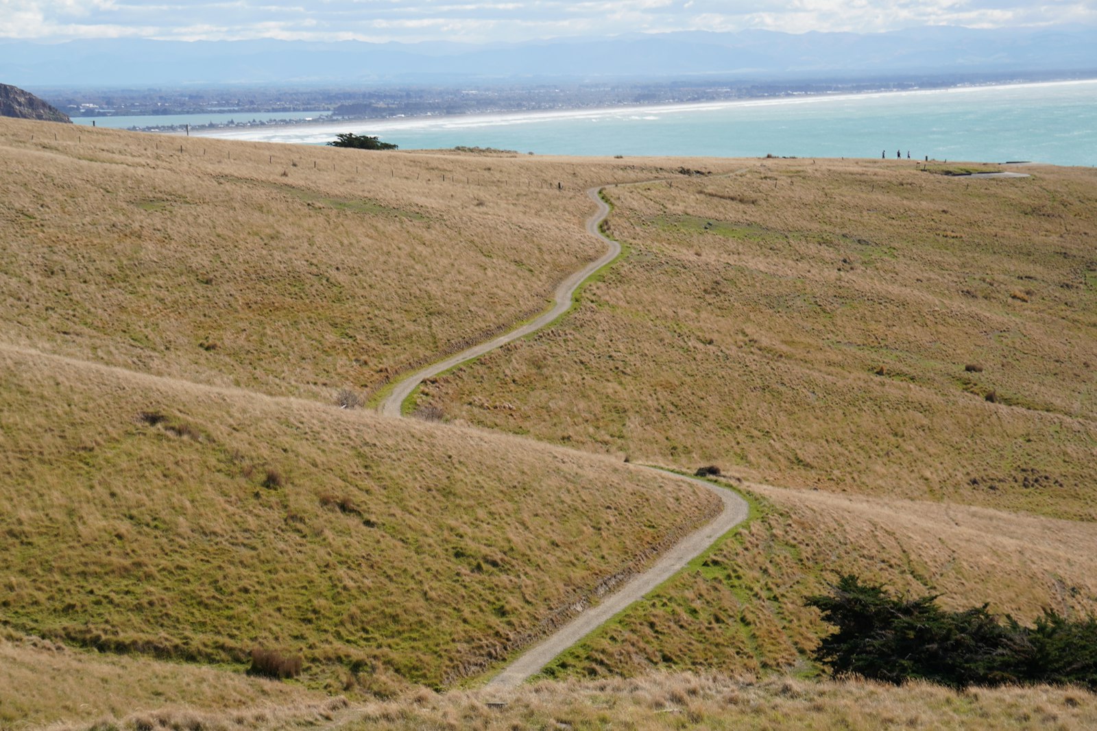 A narrow footpath running through dry coastal grassland toward the sea, with no shade anywhere along it.