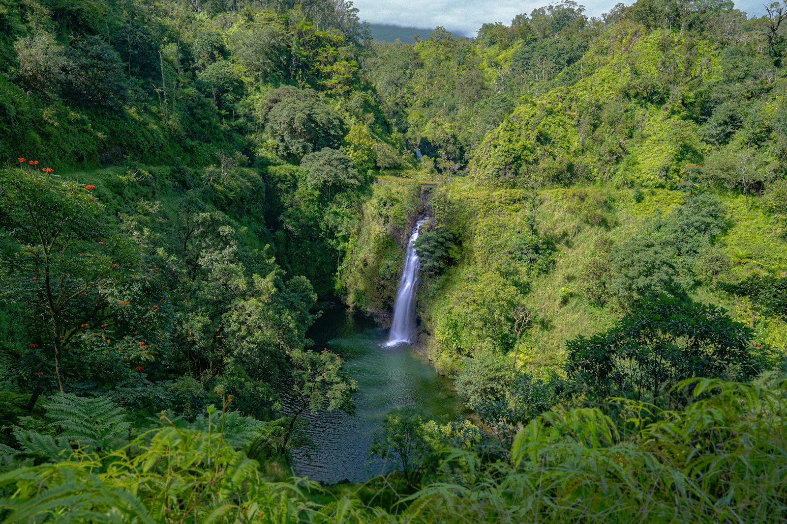 Winding Road to Hana through lush rainforest on Maui