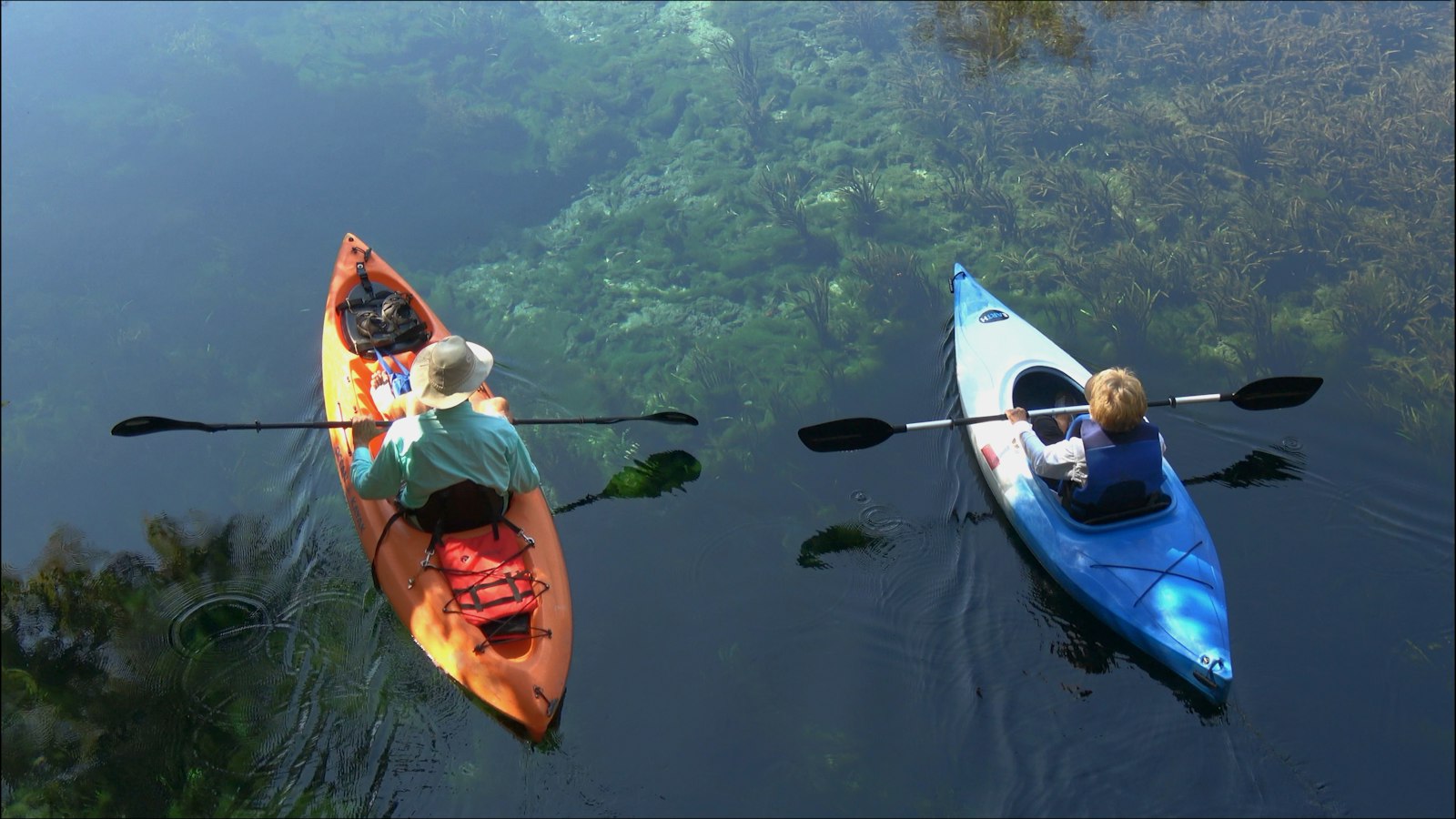 Two kayaks on green water, seen from above