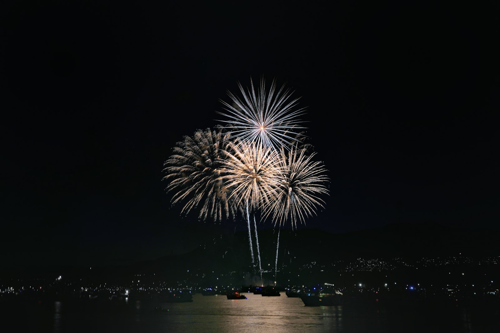 Fireworks opening over dark water