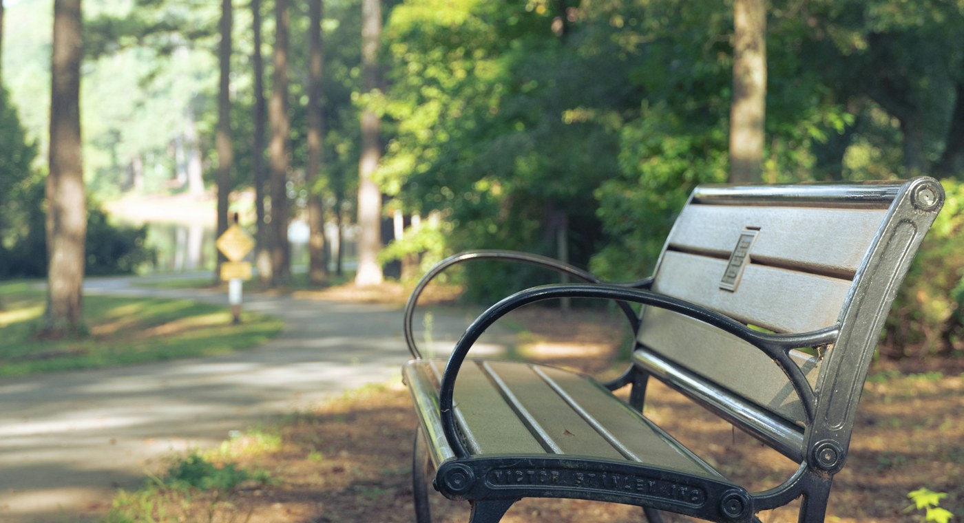 An empty bench beside a sunny park path