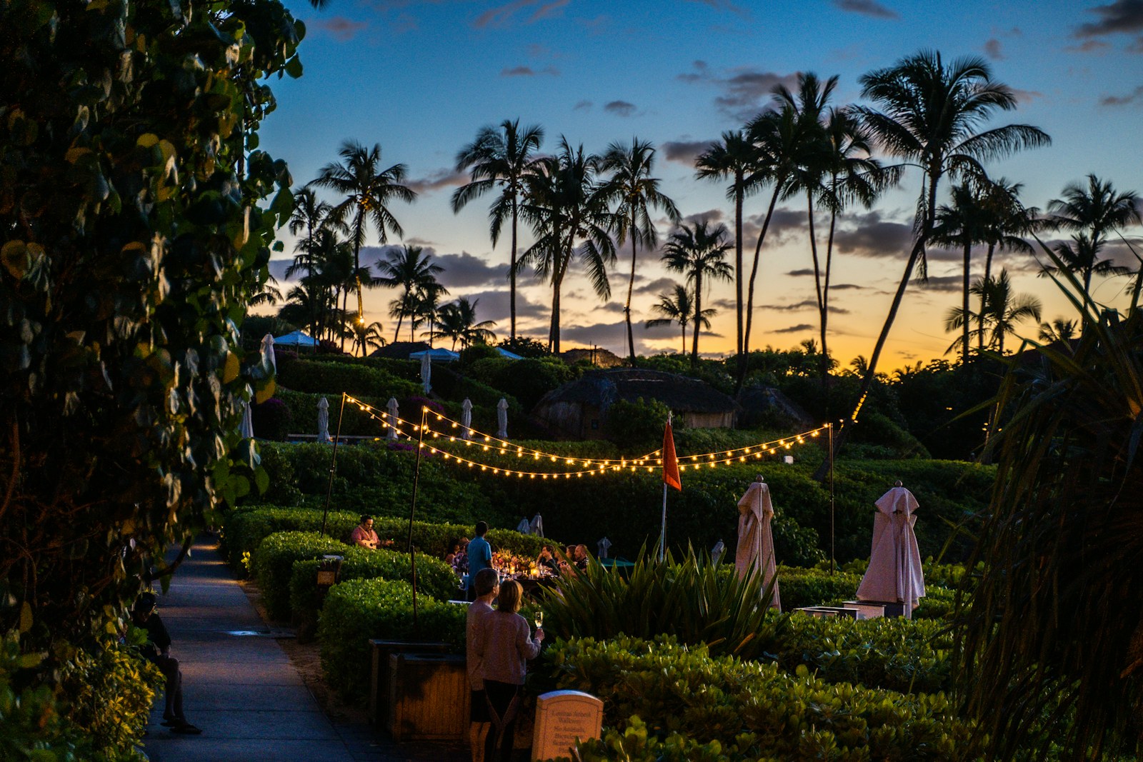 String lights over a garden of palm trees at dusk in Hawaii, the kind of evening plan people post as lines on YKnot.