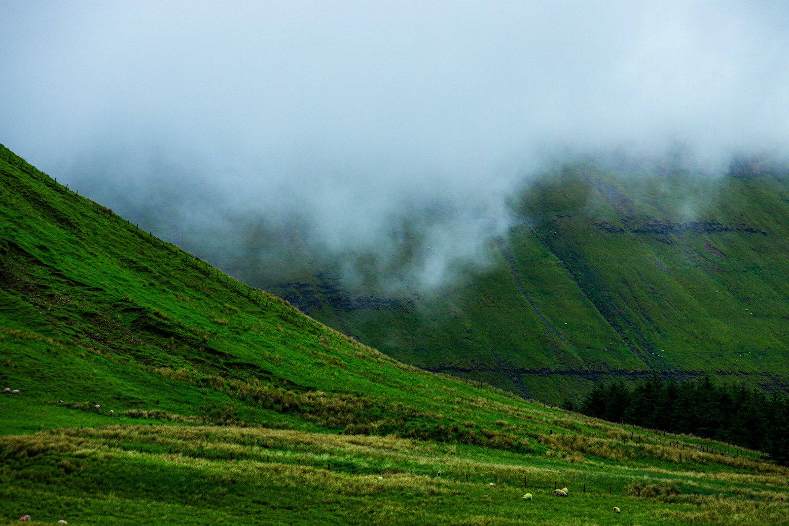 Green pasture on a mountain slope with cloud rolling down across it.