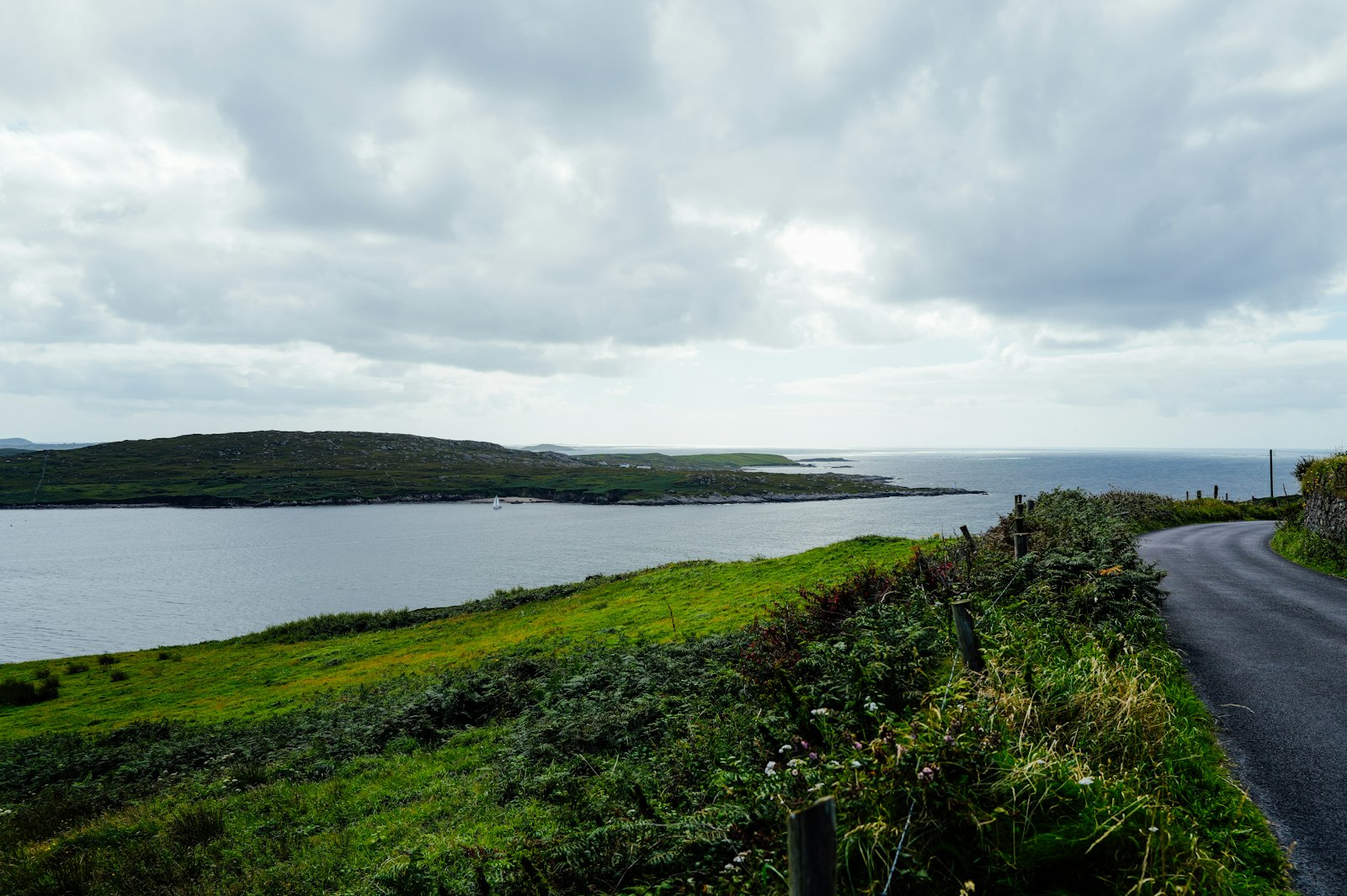A single road running along a green coastline with no traffic on it in either direction.